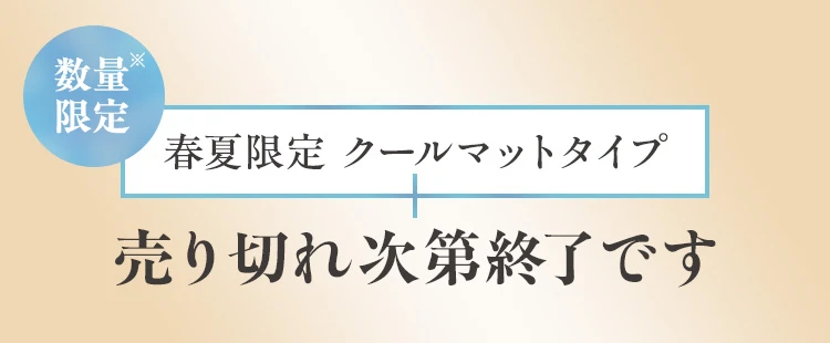 夏季限定クールタイプ 売り切れ次第終了です